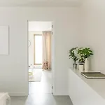 Trendy As Base To Discover