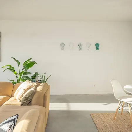 Trendy As Base To Discover Apartamento *