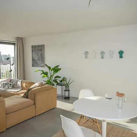 Trendy As Base To Discover *