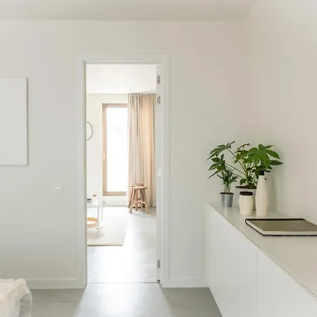 Trendy As Base To Discover