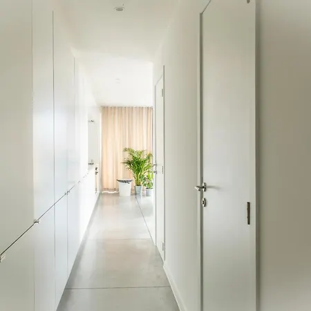Trendy As Base To Discover Apartamento