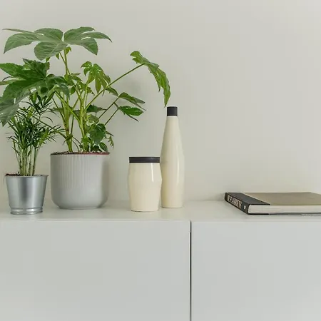 Trendy As Base To Discover Appartamento