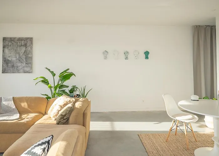 Trendy As Base To Discover Apartamento *