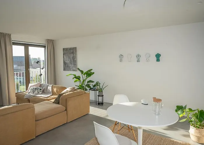 Trendy As Base To Discover *