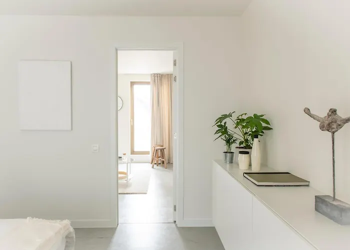 Trendy As Base To Discover