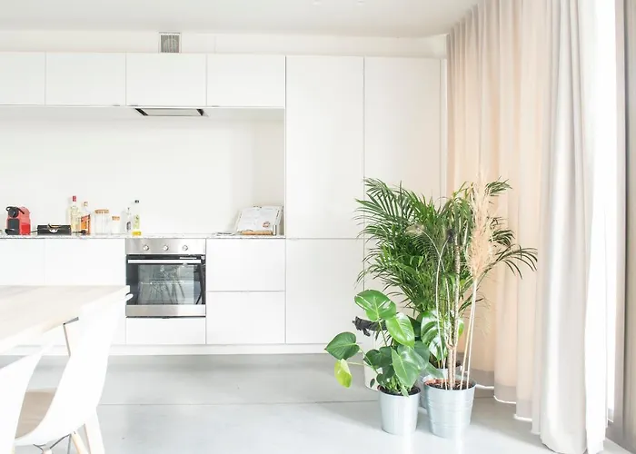 Trendy As Base To Discover * Gand