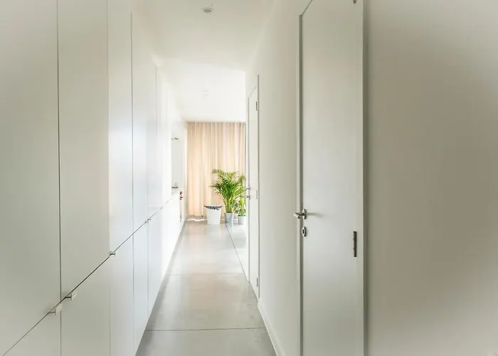 Trendy As Base To Discover Appartement