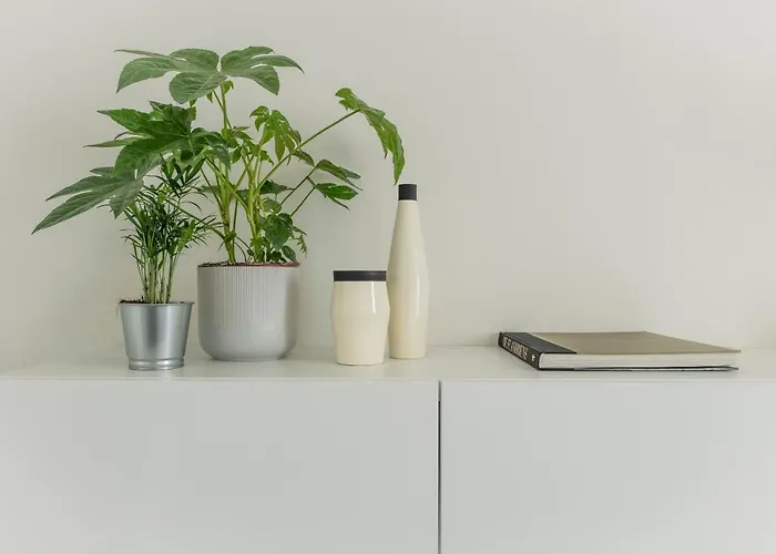 Trendy As Base To Discover 公寓