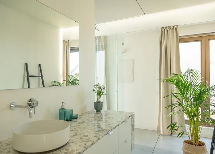 Trendy As Base To Discover