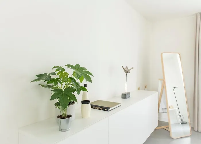 Trendy As Base To Discover 根特