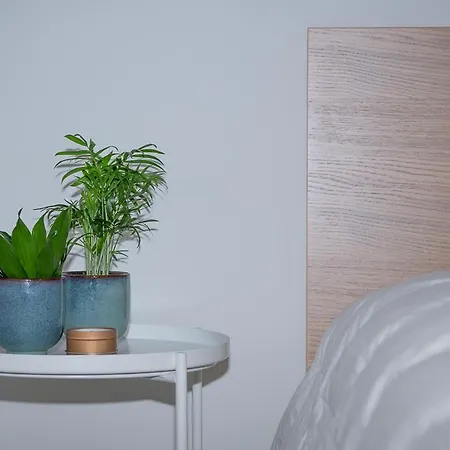 شقة Trendy As Base To Discover *