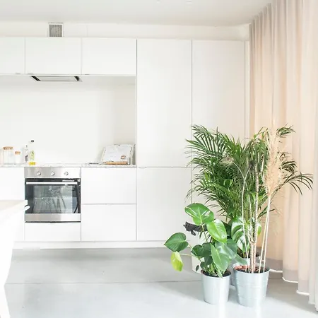 Trendy As Base To Discover * خنت