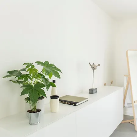 Trendy As Base To Discover خنت